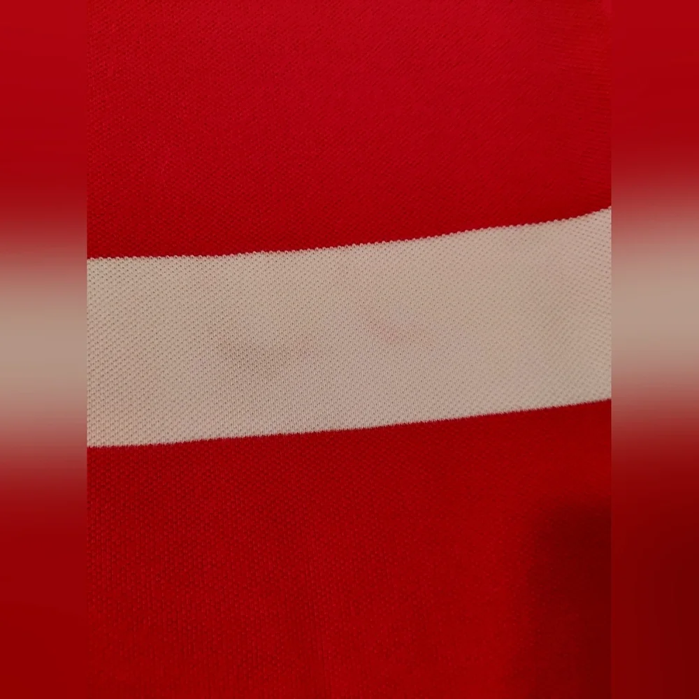 Polo by Ralph Lauren Men's Blue and Red Striped Polo